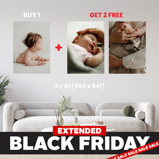 A1 - Buy 1, Get 2 FREE Canvas Deal