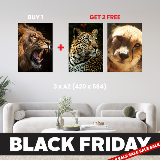 A2 - Buy 1, Get 2 FREE Canvas Deal