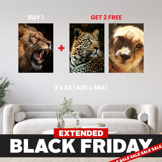 A2 - Buy 1, Get 2 FREE Canvas Deal