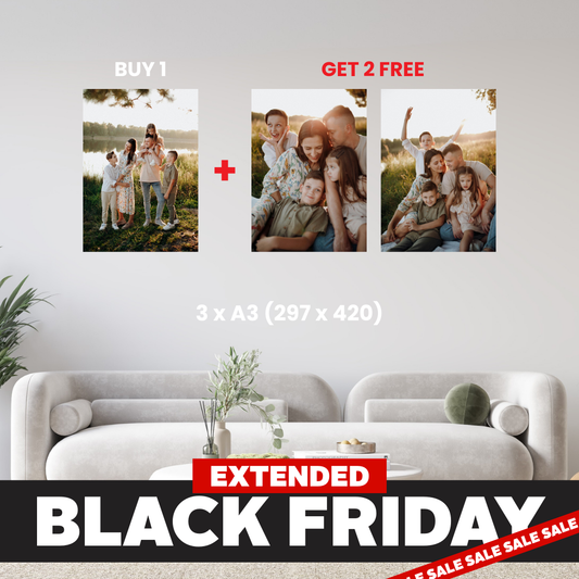 A3 - Buy 1, Get 2 FREE Canvas Deal