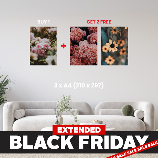 A4 - Buy 1, Get 2 FREE Canvas Deal