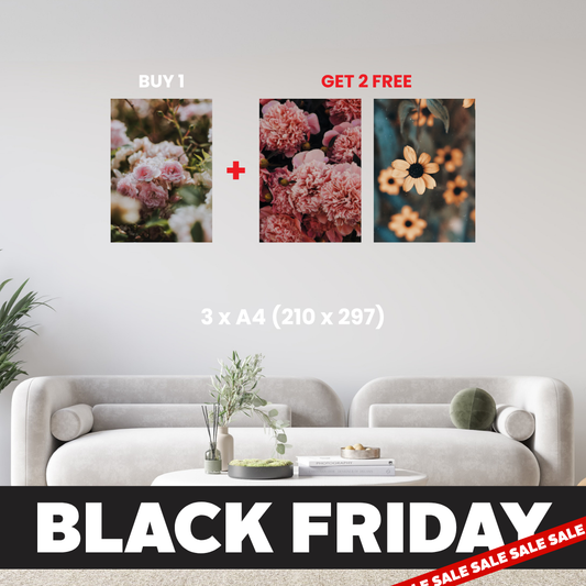 A4 - Buy 1, Get 2 FREE Canvas Deal