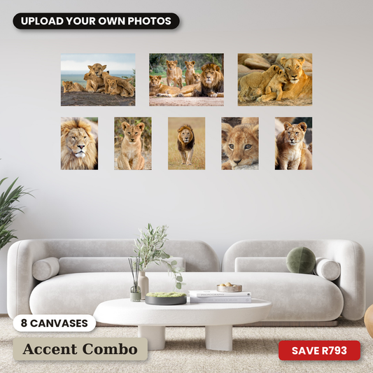8 Piece Small Accent Canvas Combo