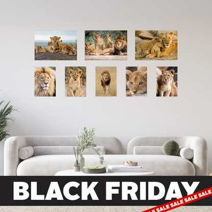 Black Friday 8 Piece Small Feature Canvas Combo