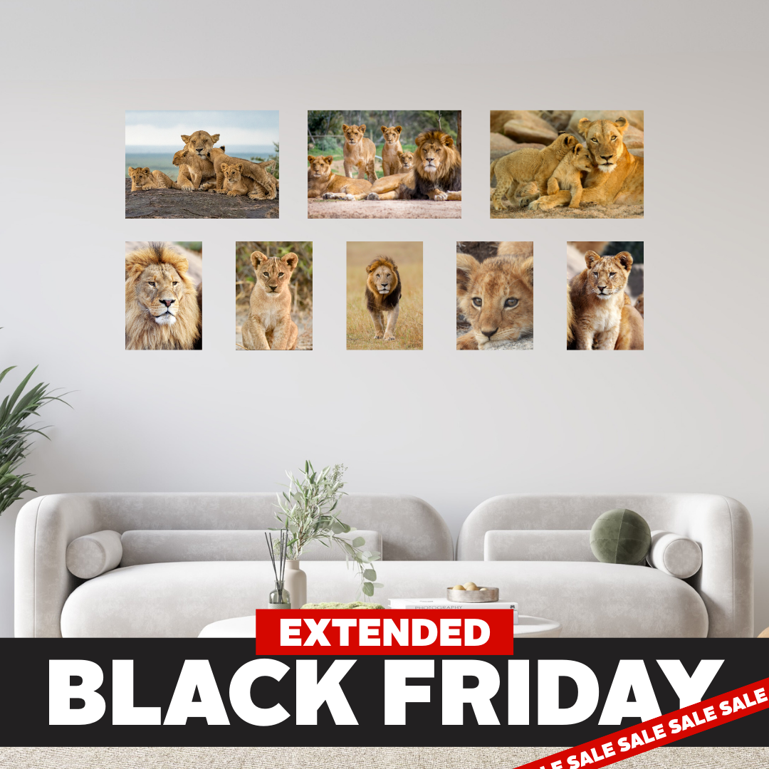 Black Friday 8 Piece Small Feature Canvas Combo