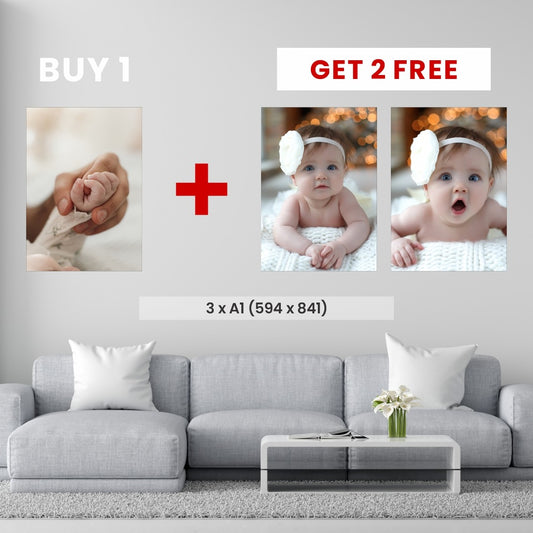 A1 - Buy 1, Get 2 FREE Canvas Deal