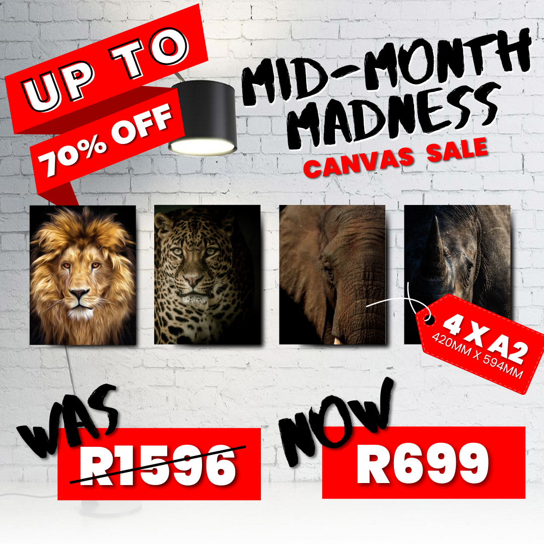 4 x A2 Canvas Mid Month Madness Deal