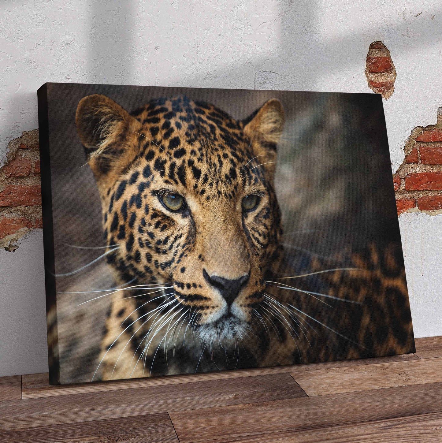 Beautiful Leopard Closeup Pre-Printed Canvas
