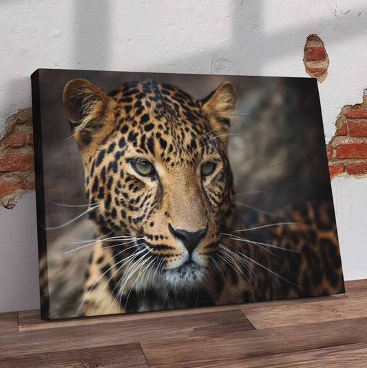 Beautiful Leopard Closeup Pre-Printed Canvas