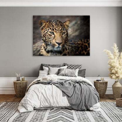 Beautiful Leopard Closeup Pre-Printed Canvas