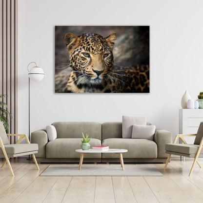 Beautiful Leopard Closeup Pre-Printed Canvas