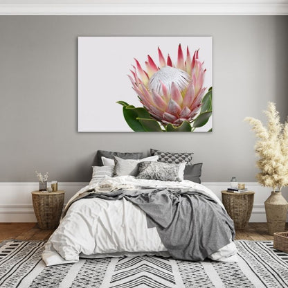 Elegant Protea Pre-Printed Canvas