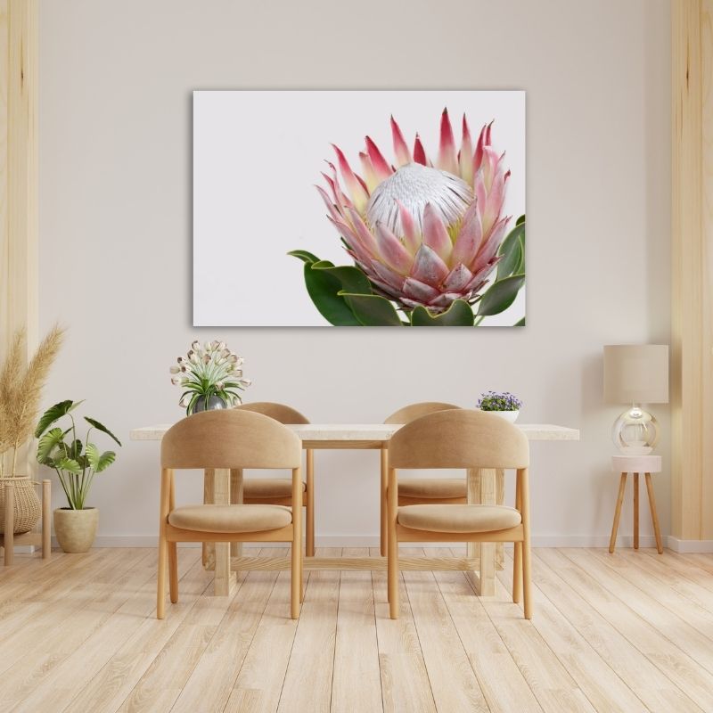 Elegant Protea Pre-Printed Canvas