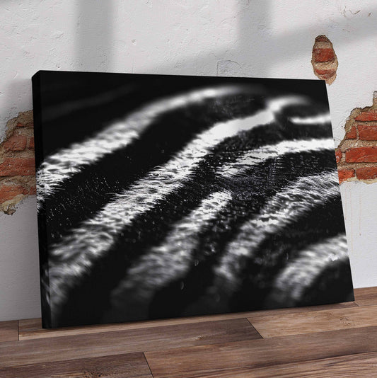 Black and White Zebra Skin Pre-Printed Canvas
