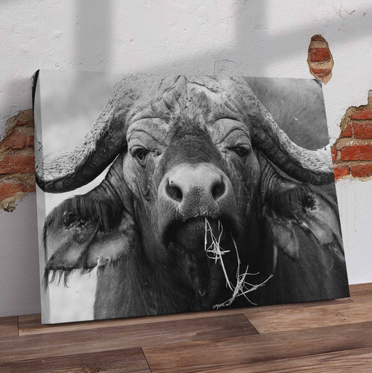 Black and White Buffalo Closeup Pre-Printed Canvas
