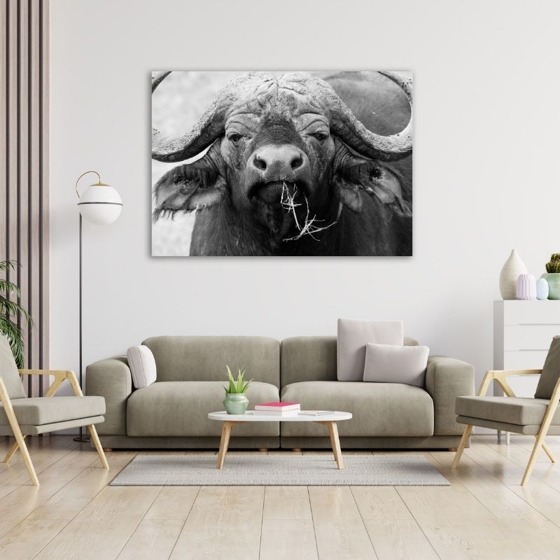 Black and White Buffalo Closeup Pre-Printed Canvas