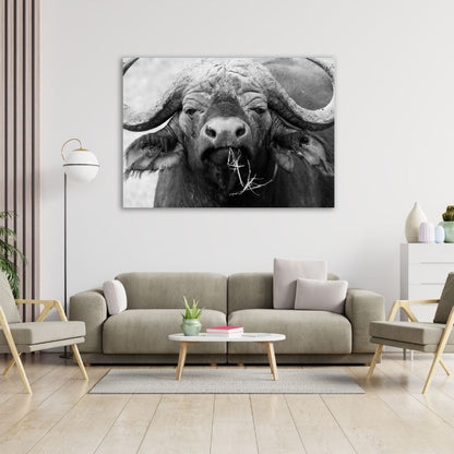 Black and White Buffalo Closeup Pre-Printed Canvas