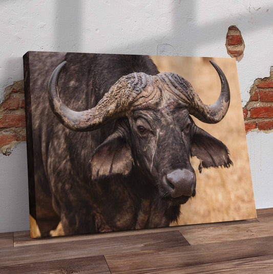 Buffalo Pre-Printed Canvas