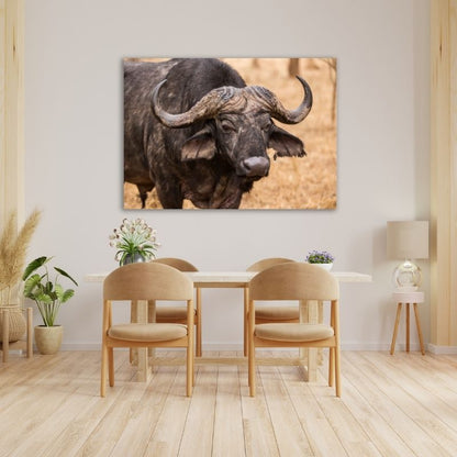 Buffalo Pre-Printed Canvas