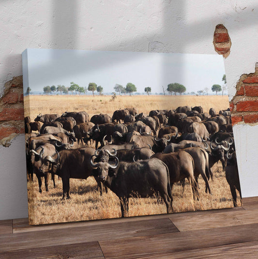 Buffaloes In Field Pre-Printed Canvas