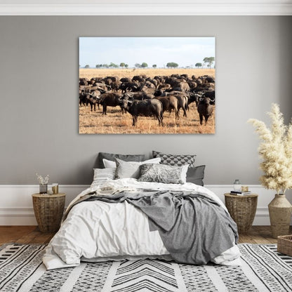 Buffaloes In Field Pre-Printed Canvas