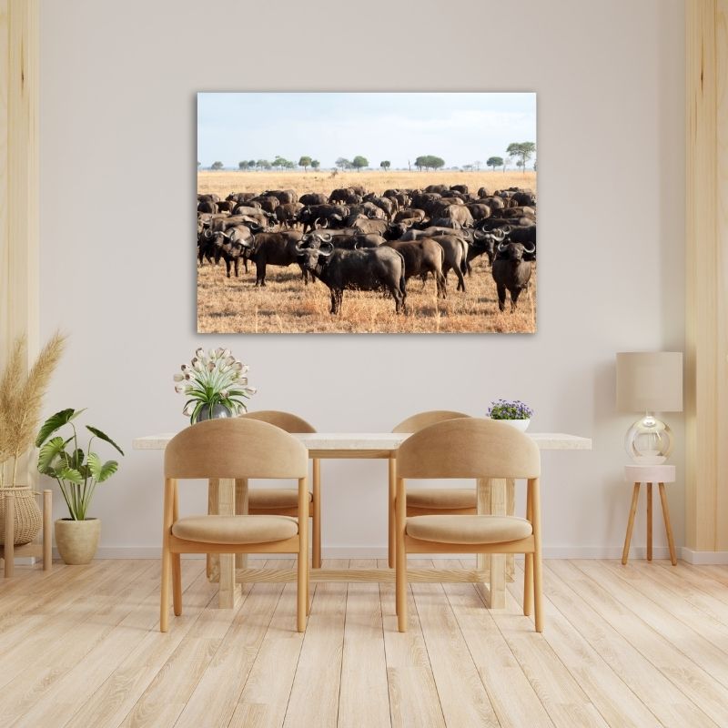 Buffaloes In Field Pre-Printed Canvas