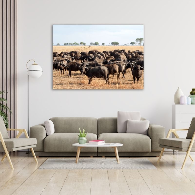 Buffaloes In Field Pre-Printed Canvas