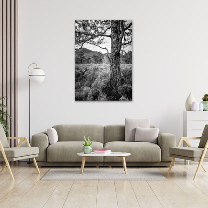 Bushveld Tree Pre-Printed Canvas