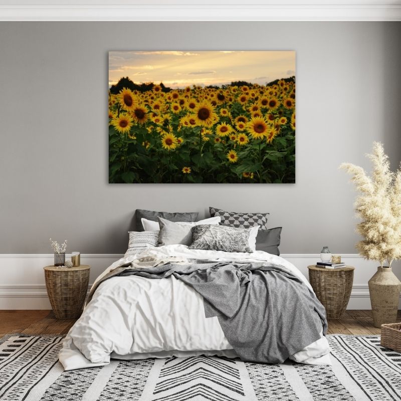 Field of Sunflowers Pre-Printed Canvas