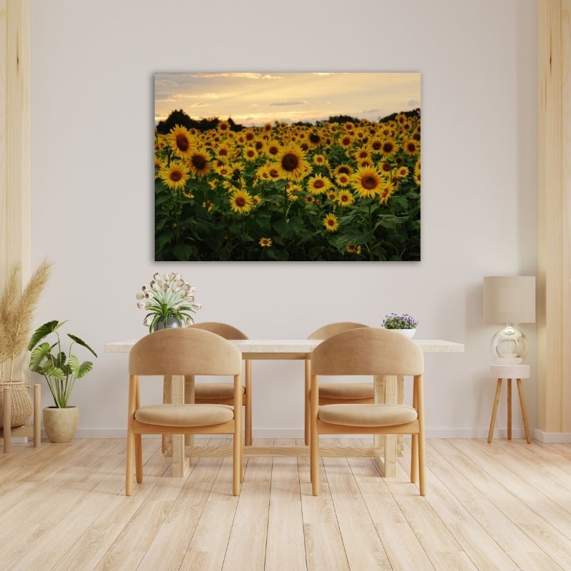 Field of Sunflowers Pre-Printed Canvas