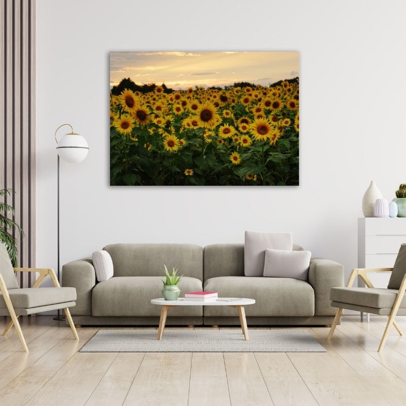Field of Sunflowers Pre-Printed Canvas