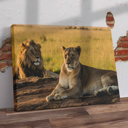 Lion And Lioness Pre-Printed Canvas