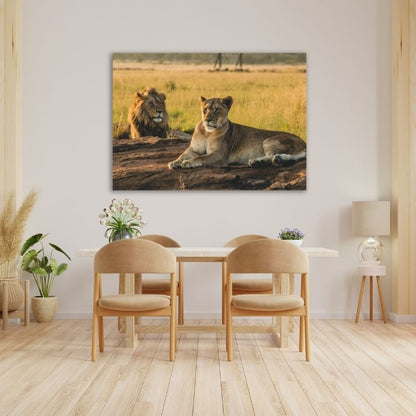 Lion And Lioness Pre-Printed Canvas