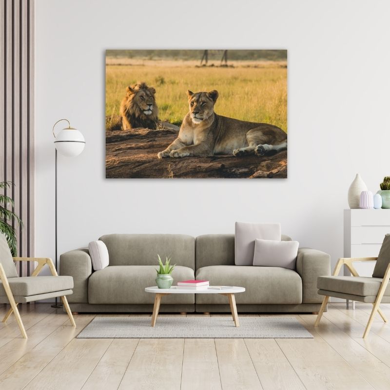Lion And Lioness Pre-Printed Canvas