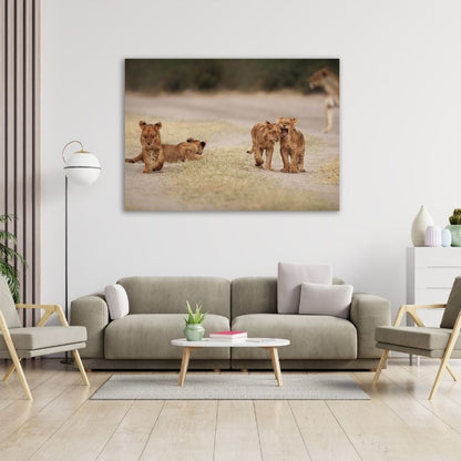 Lion Cubs Pre-Printed Canvas