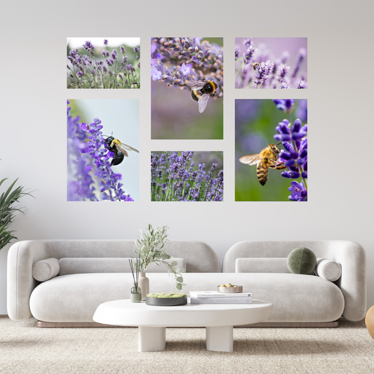 Medium 6 Piece Puzzle Canvas Combo