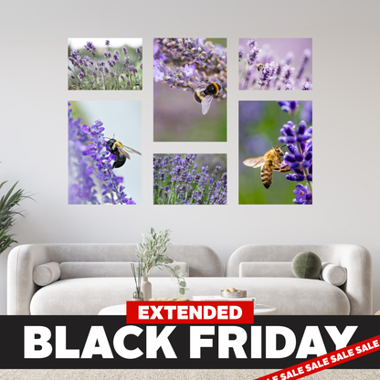 Black Friday Medium 6 Piece Puzzle Canvas Combo