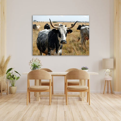 Nguni Cattle Pre-Printed Canvas