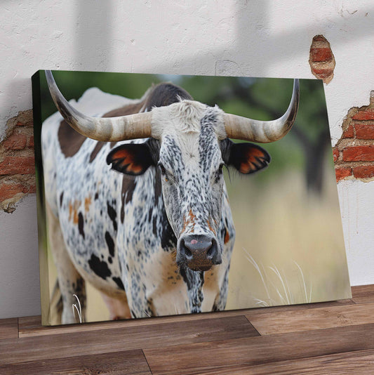 Nguni Closeup Pre-Printed Canvas