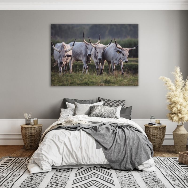 Nguni in Field Pre-Printed Canvas