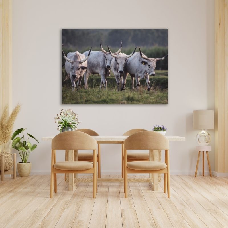 Nguni in Field Pre-Printed Canvas