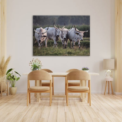 Nguni in Field Pre-Printed Canvas