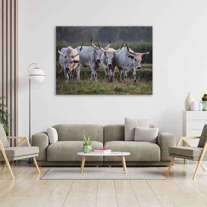 Nguni in Field Pre-Printed Canvas