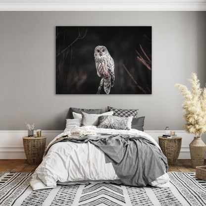 Owl Closeup Pre-Printed Canvas