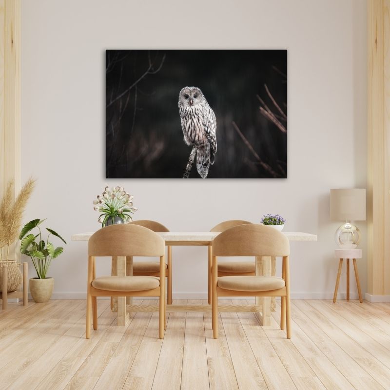 Owl Closeup Pre-Printed Canvas