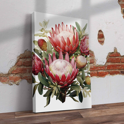 Protea Flower Drawing Pre-Printed Canvas