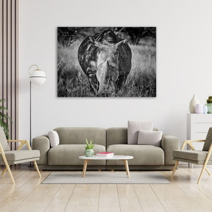 Rhino Black & White Pre-Printed Canvas