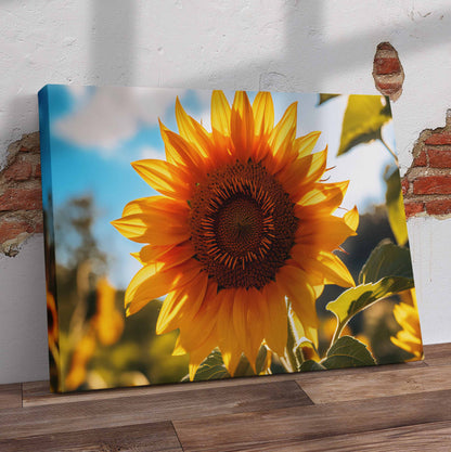 Single Sunflower Pre-Printed Canvas