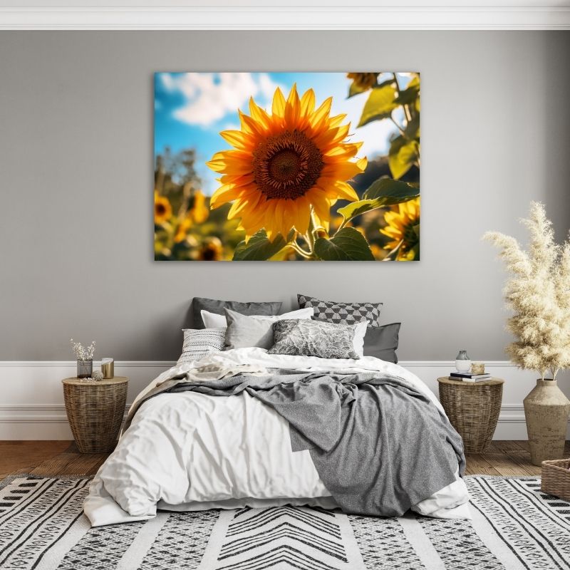 Single Sunflower Pre-Printed Canvas