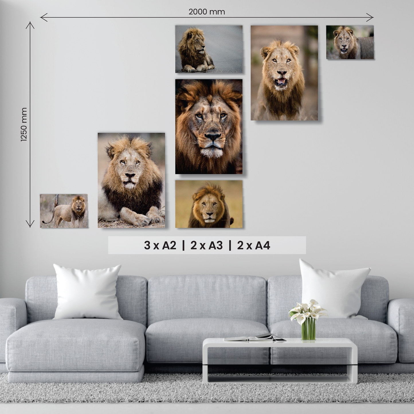 Sleek 7 Piece Canvas Combo